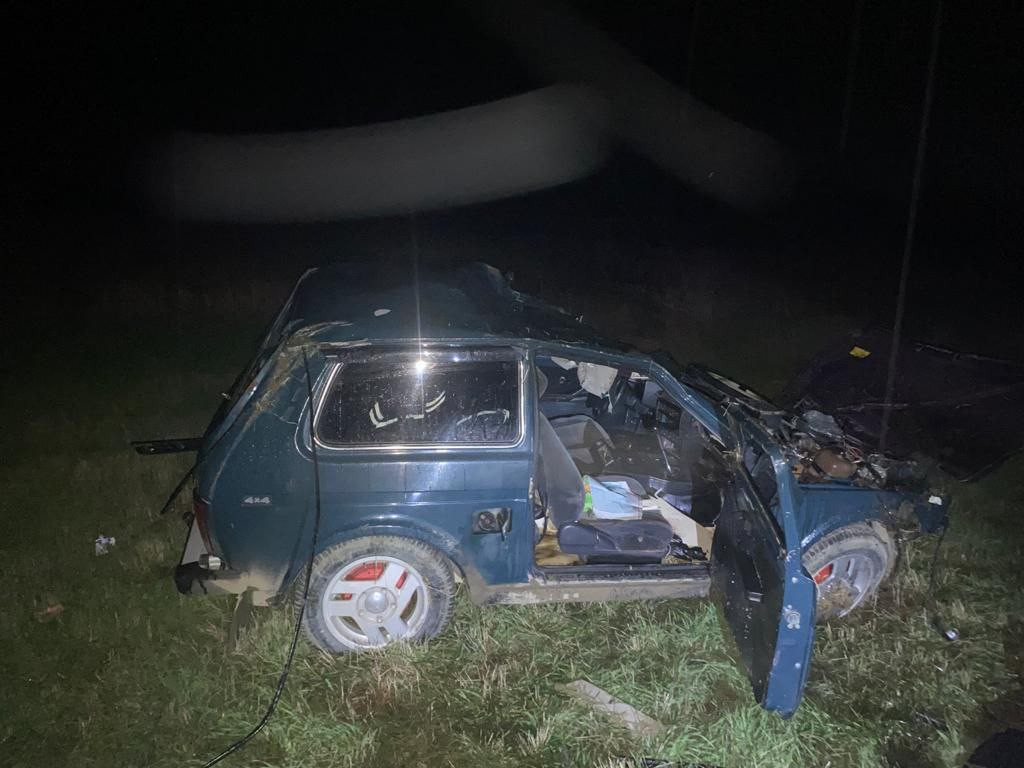 Водитель погиб в результате наезда на корову на Ставрополье