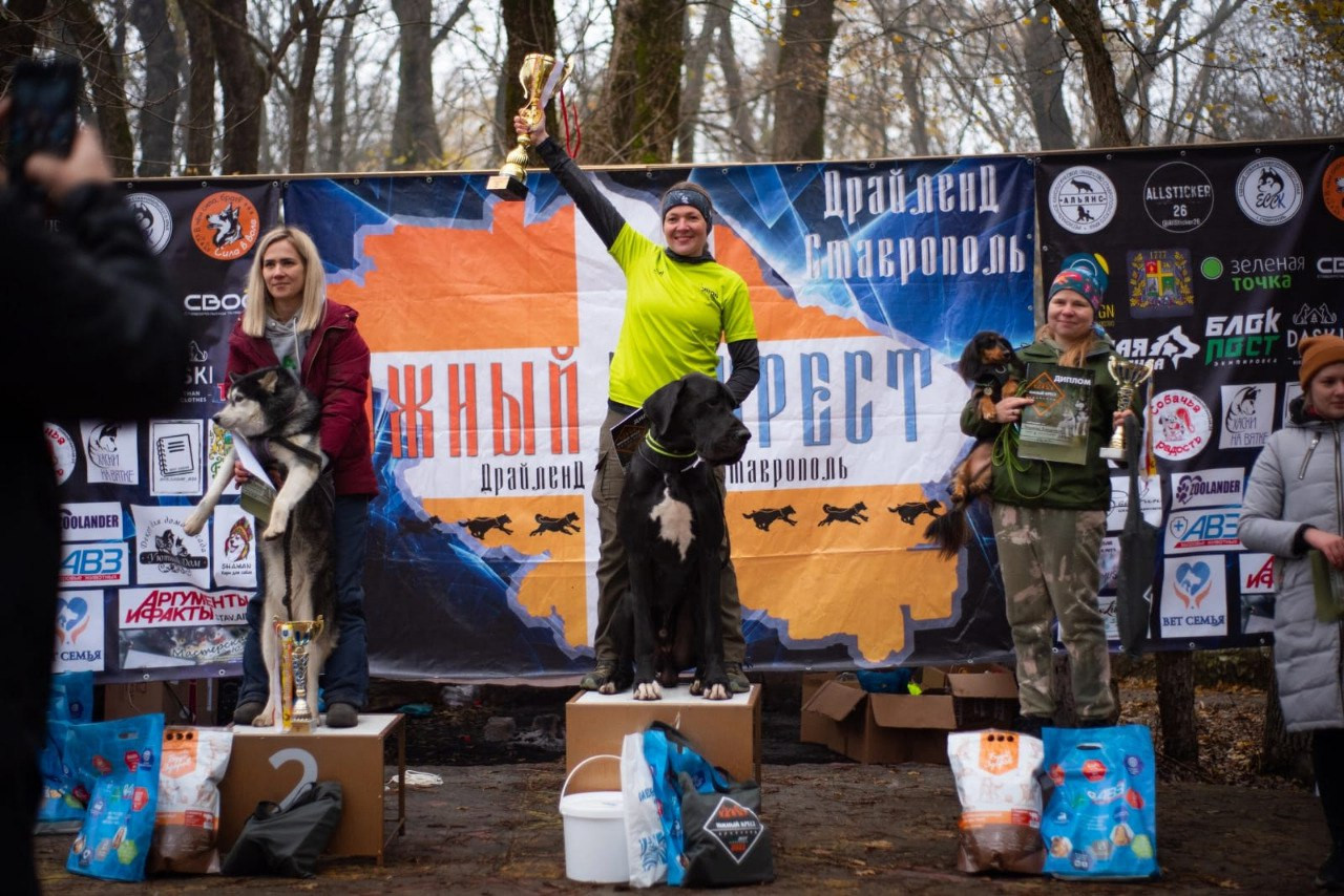 В Ставрополе прошли соревнования по ездовому спорту