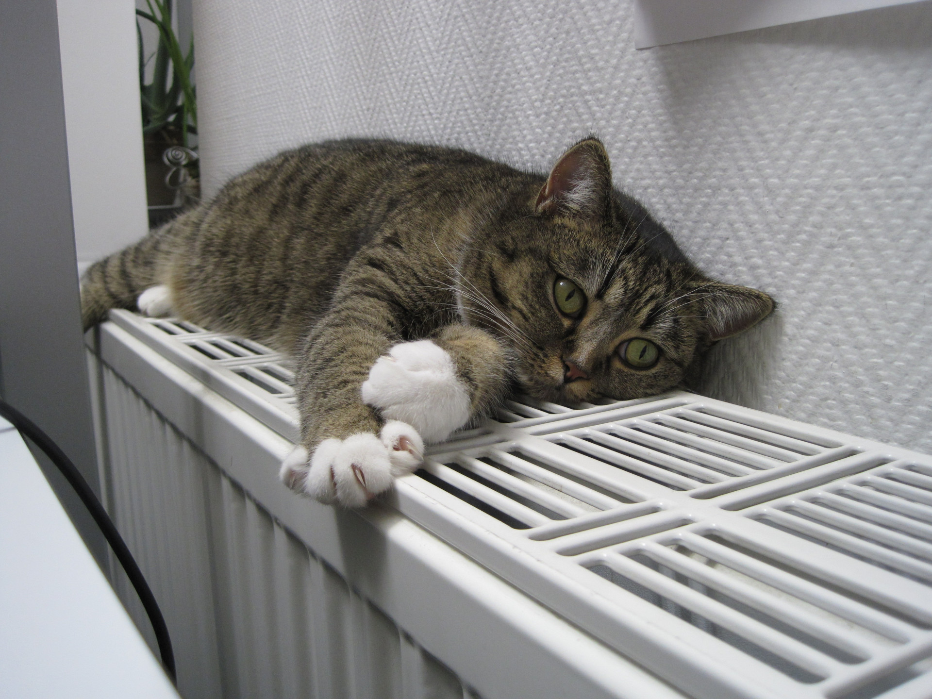 Администрация Ставрополя: температура жилых помещений не должна быть ниже 18 градусов