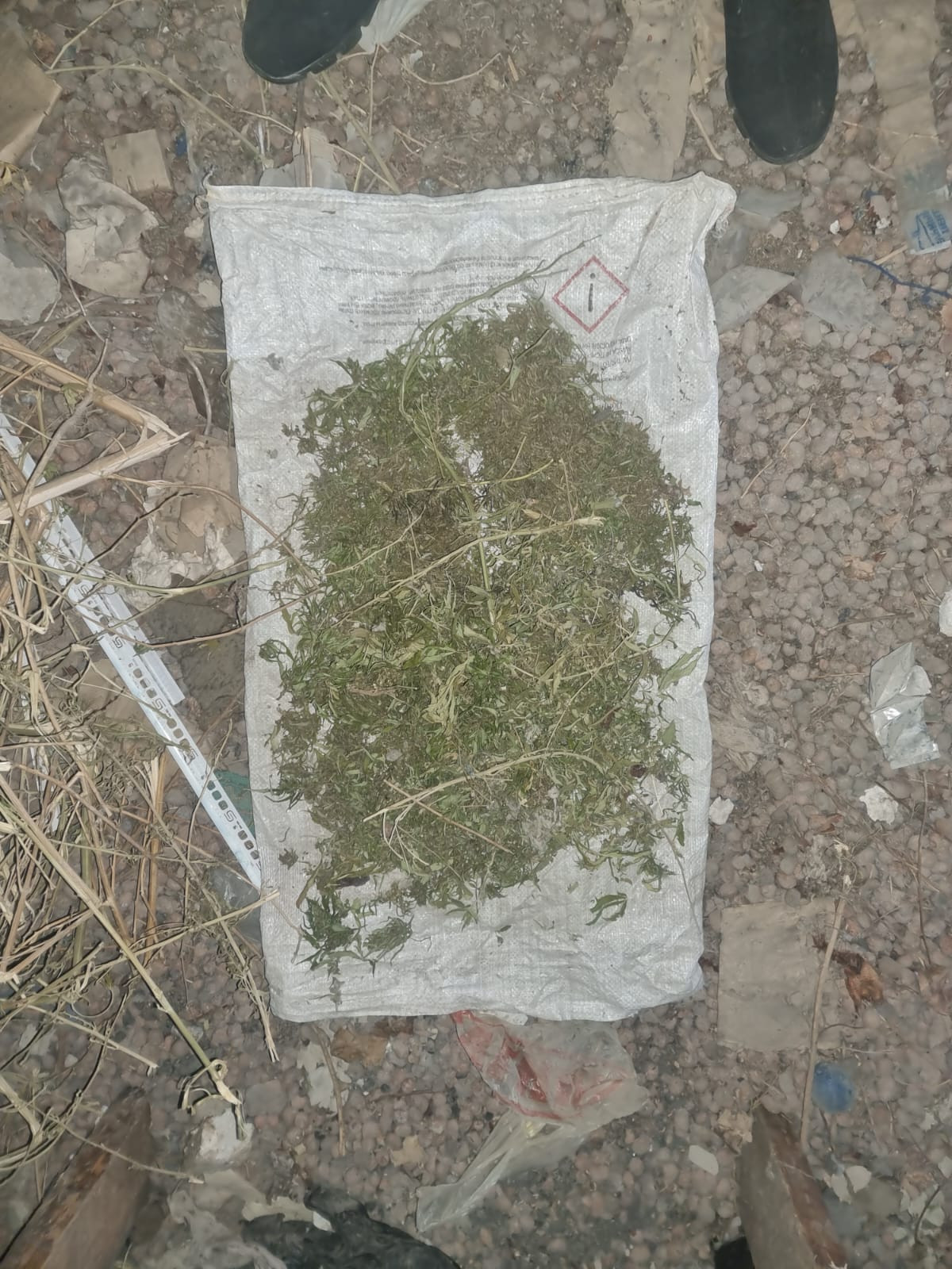 600 граммов марихуаны изъяли оперативники у жителя Предгорья