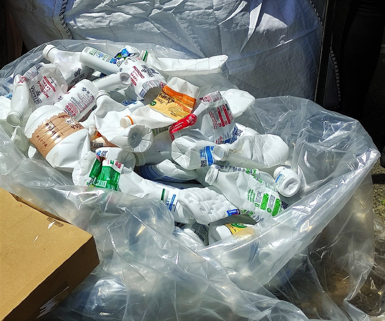 В Ставрополе изменится график вывоза мусора с 19 декабря