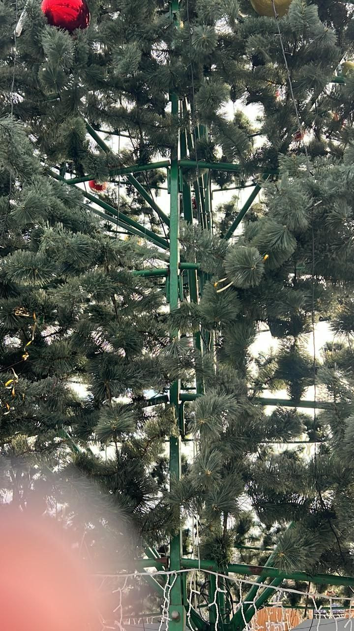 Новогодние украшение с городской ёлки украли в Ессентуках