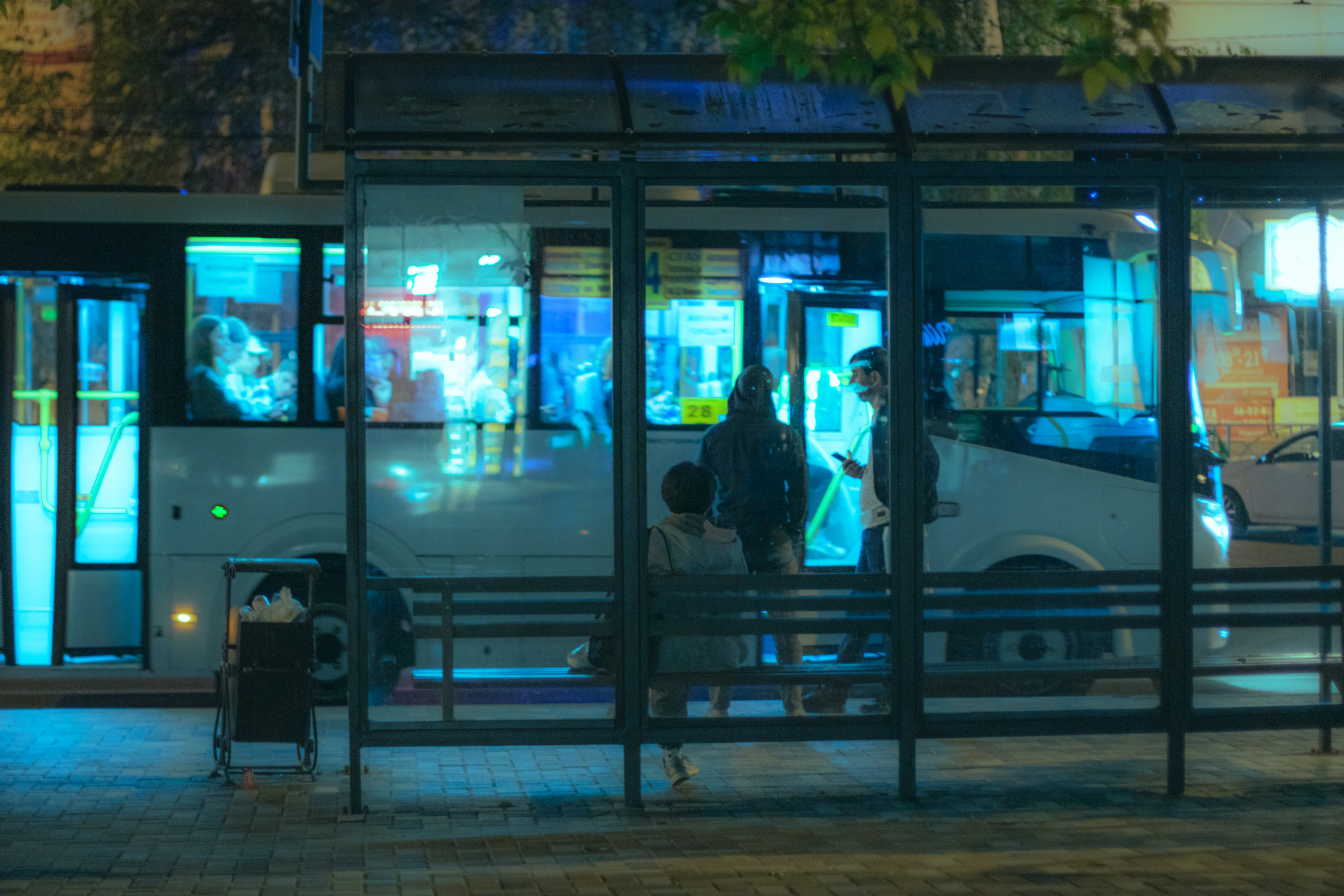 Что происходит с общественным транспортом в Ставрополе