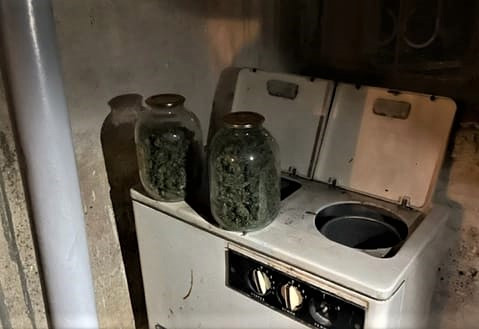 В Кисловодске полиция пресекла сбыт конопли и марихуаны