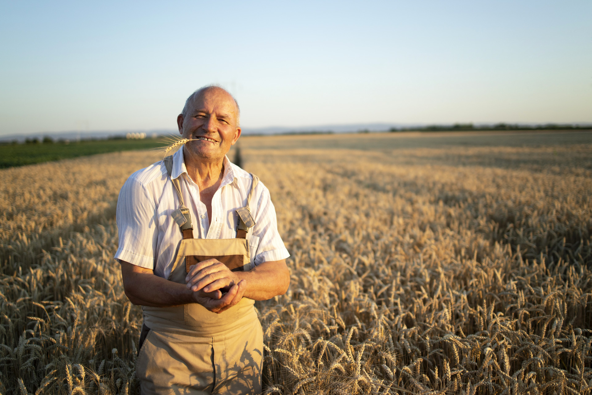 Начинающие фермеры Ставропольского края могут поучаствовать в конкурсе на грант Агростартап