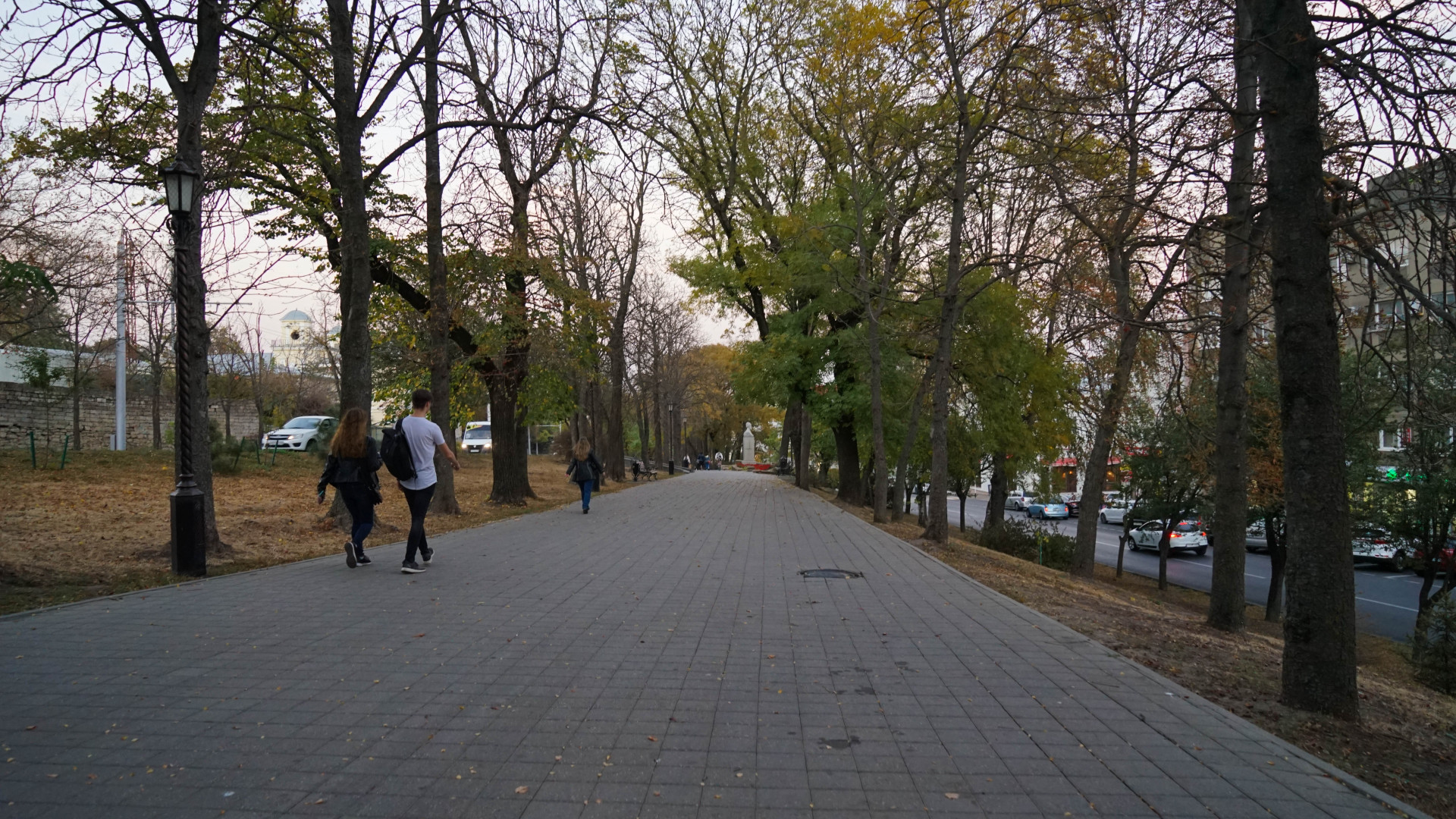 46 деревьев получили новые стрижки на бульваре Ермолова в Ставрополе