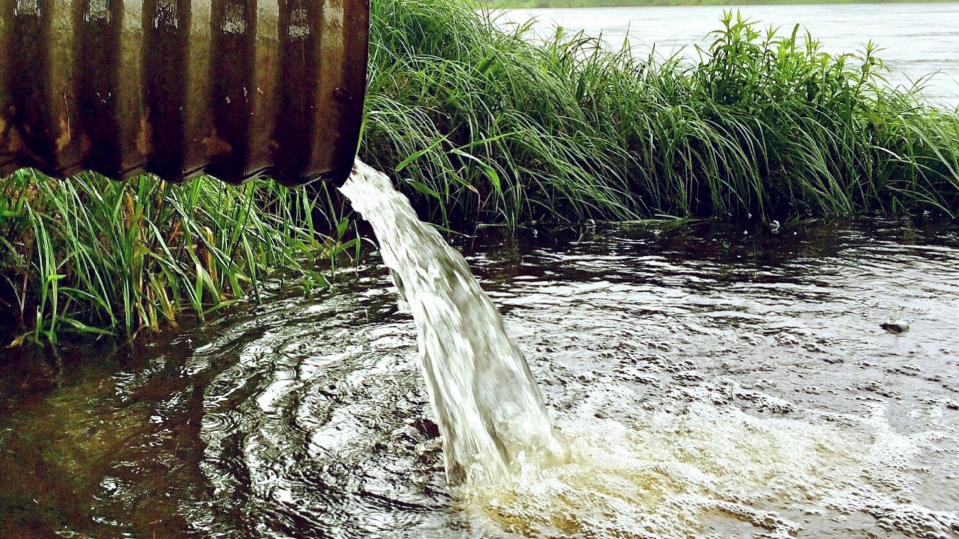 Фото загрязнение воды в природе