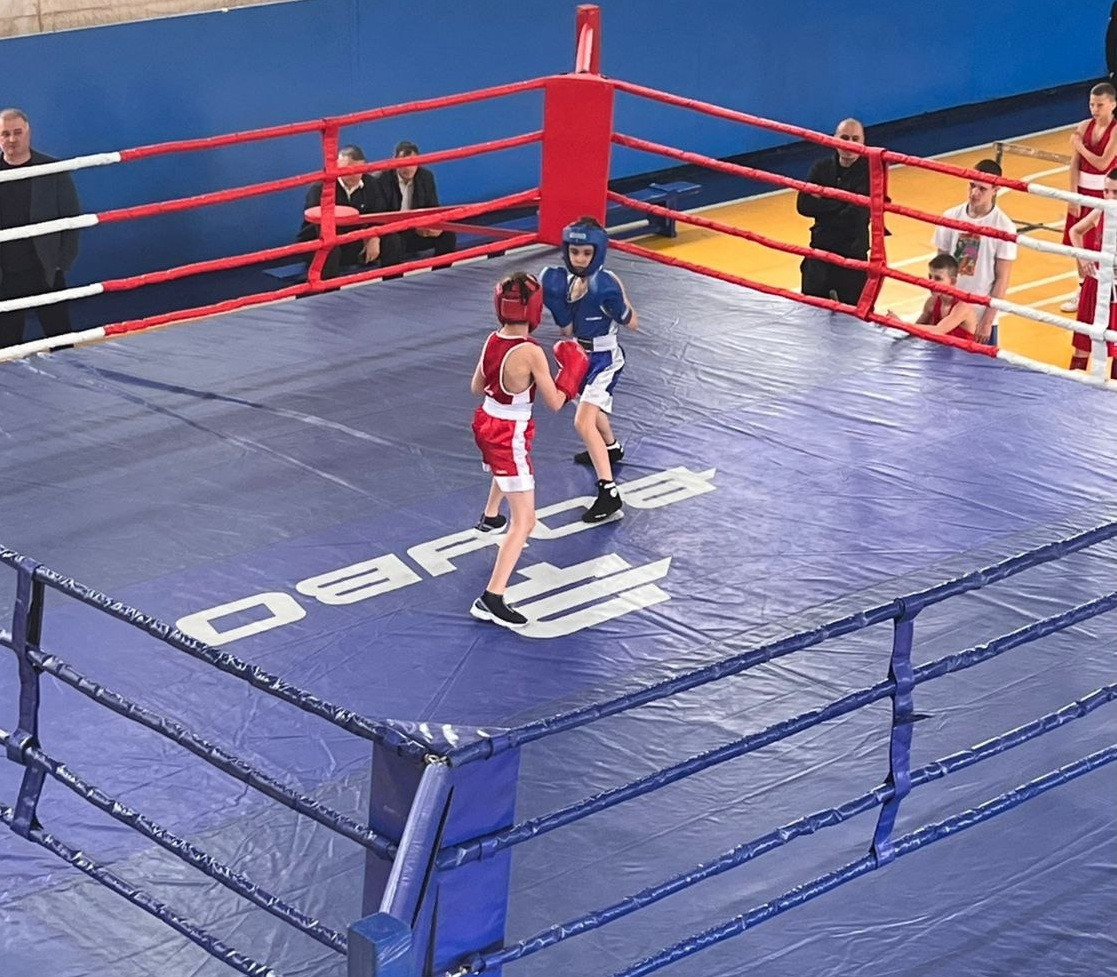 Городской турнир по боксу стартовал в Ставрополе