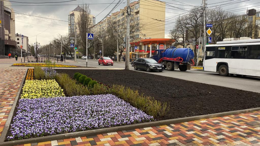 Новая клумба площадью 100 квадратных метров появился в центре Ставрополя