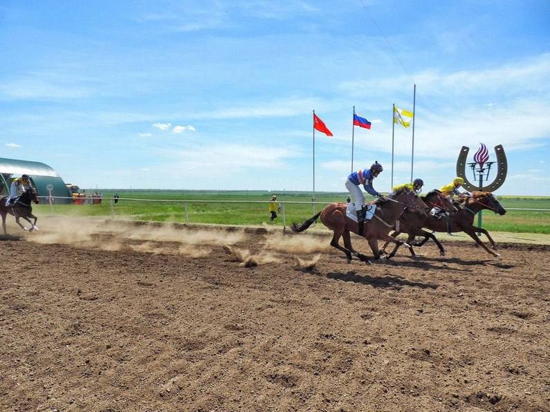 В селе Новоселицком прошли конноспортивные соревнования