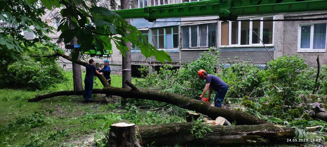 В Ставрополе отработали 185 заявок по устранению последствий непогоды с 23 на 24 мая