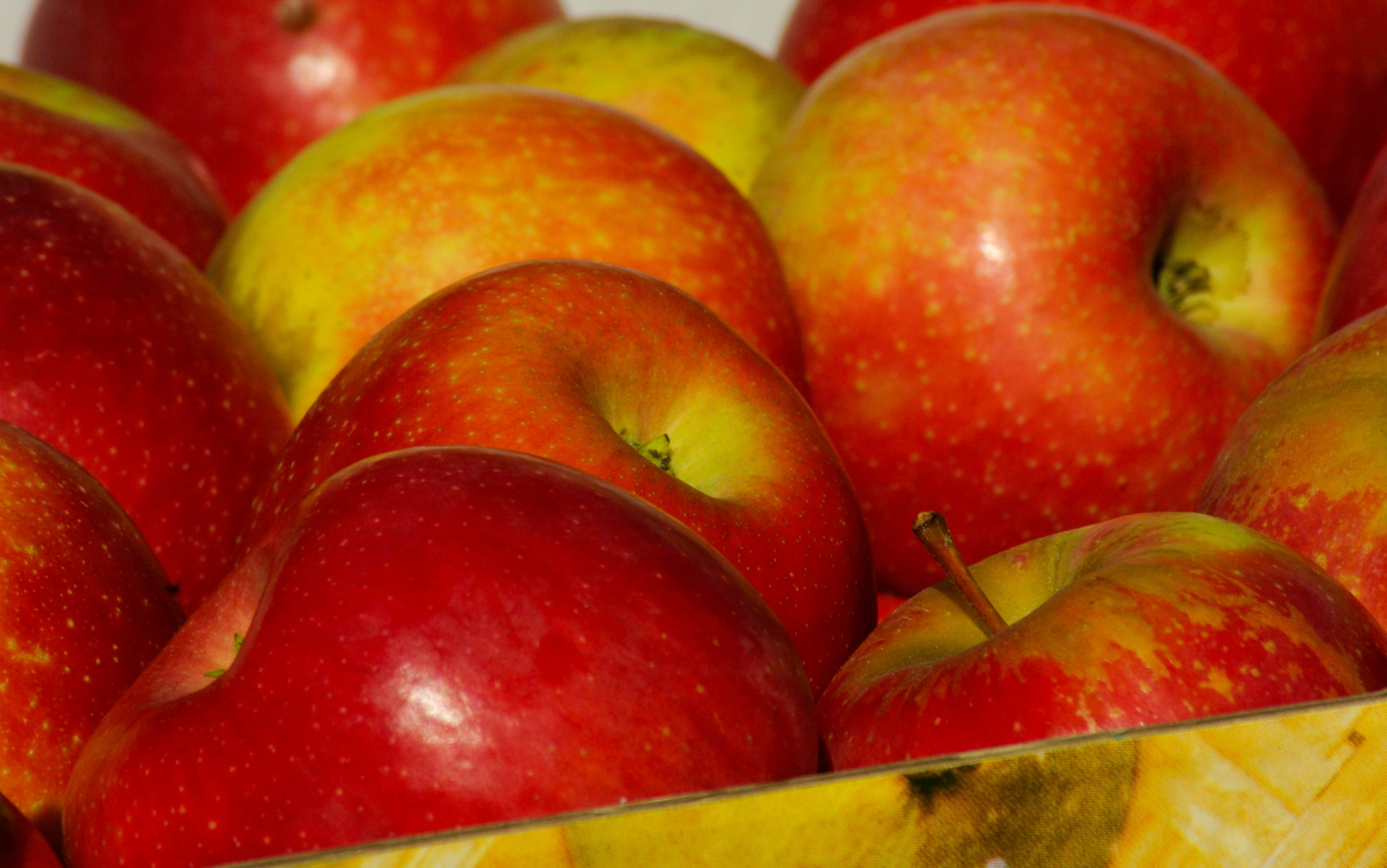 Яблочные ярмарки появились в Ставрополе