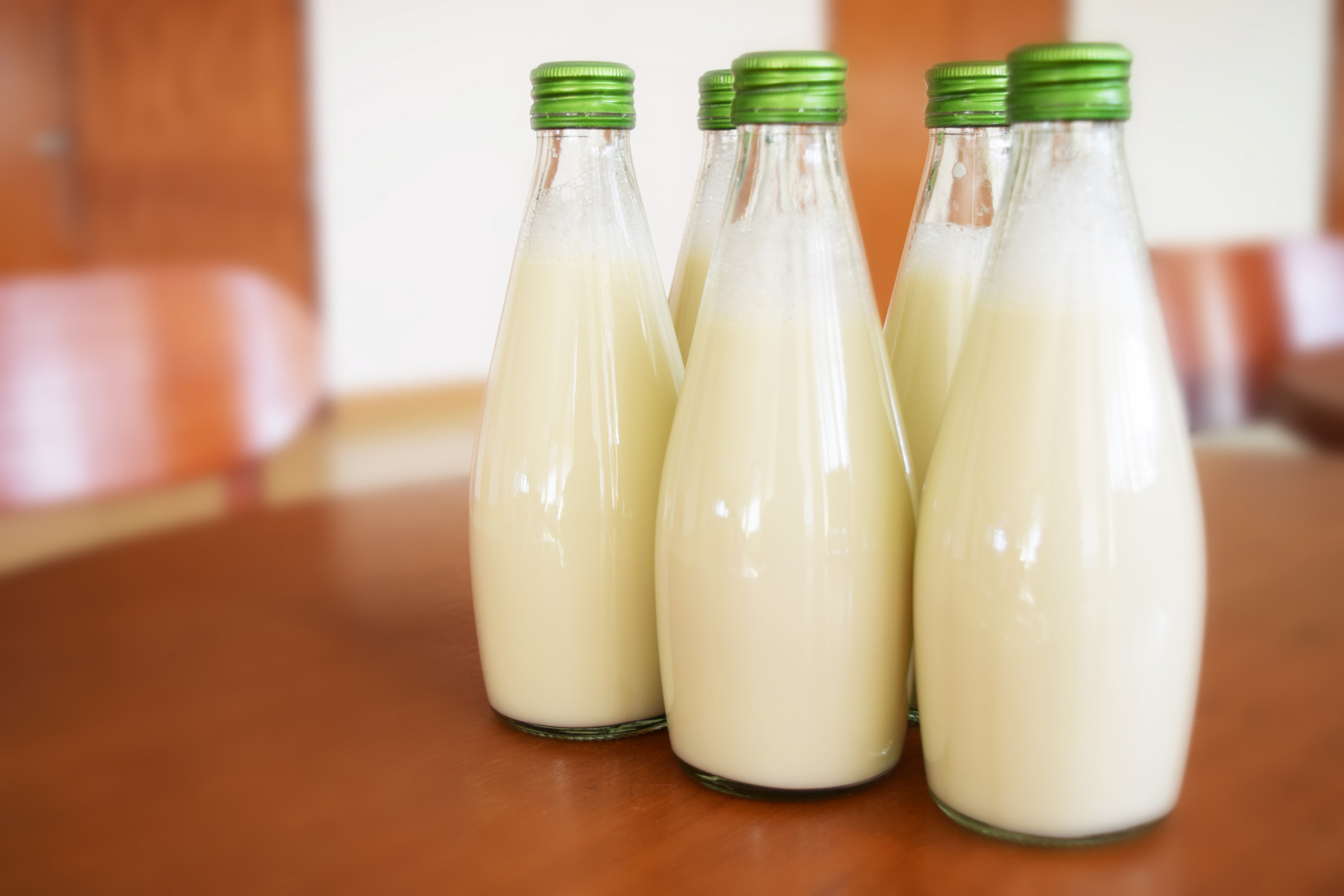 В Ставрополе из 3, 7 тонн молока сделали более 24 тонн сливок, молочной смеси и сыворотки