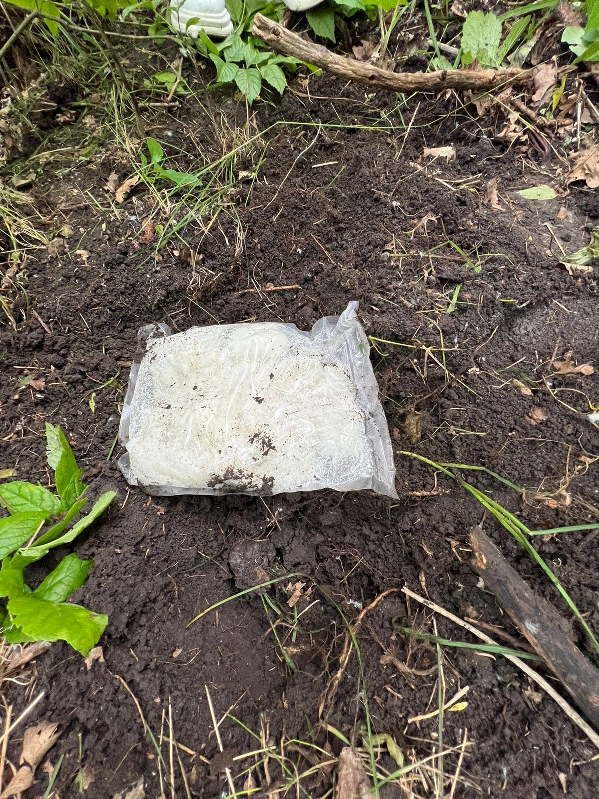 В Ставрополе более полукилограмма мефедрона изъяла из тайника полиция -  АТВмедиа