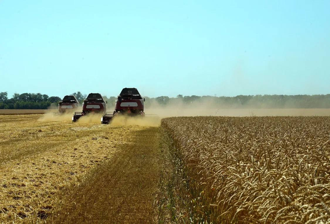 Первый миллион тонн зерна был собран на Ставрополье