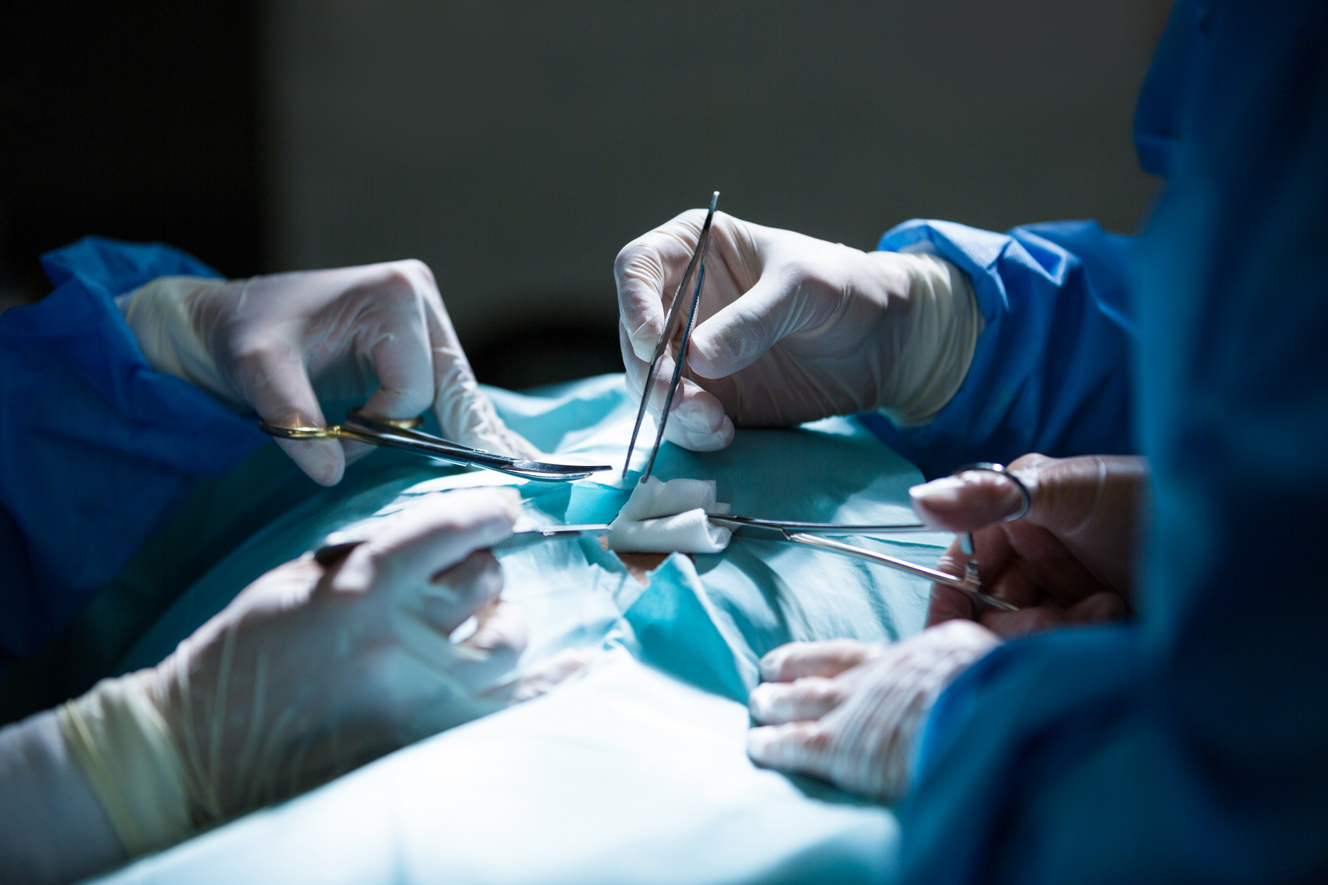 Пересадка печени: когда делают трансплантацию и сколько это может стоить?