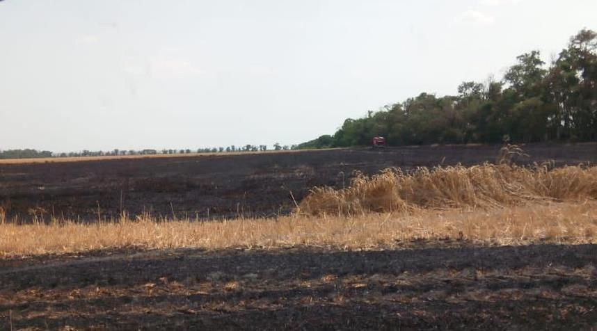 За сутки на Ставрополье вспыхнуло 15 ландшафтных пожаров