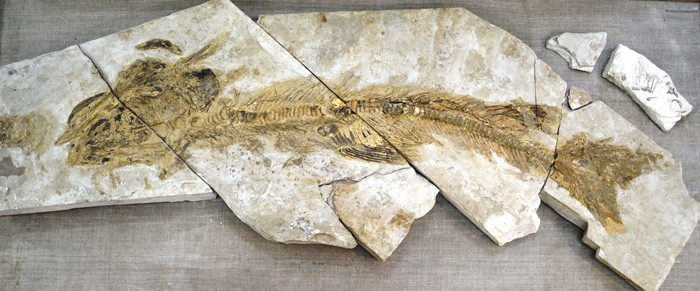 Как Ставрополь оказался на дне моря?