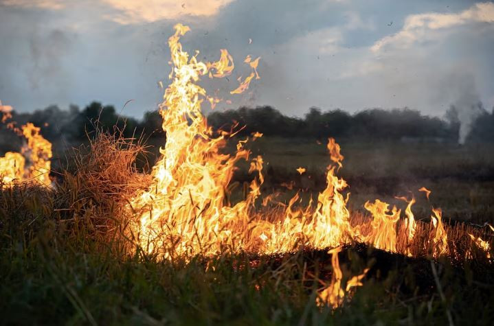45 природных пожаров потушили на Ставрополье за сутки