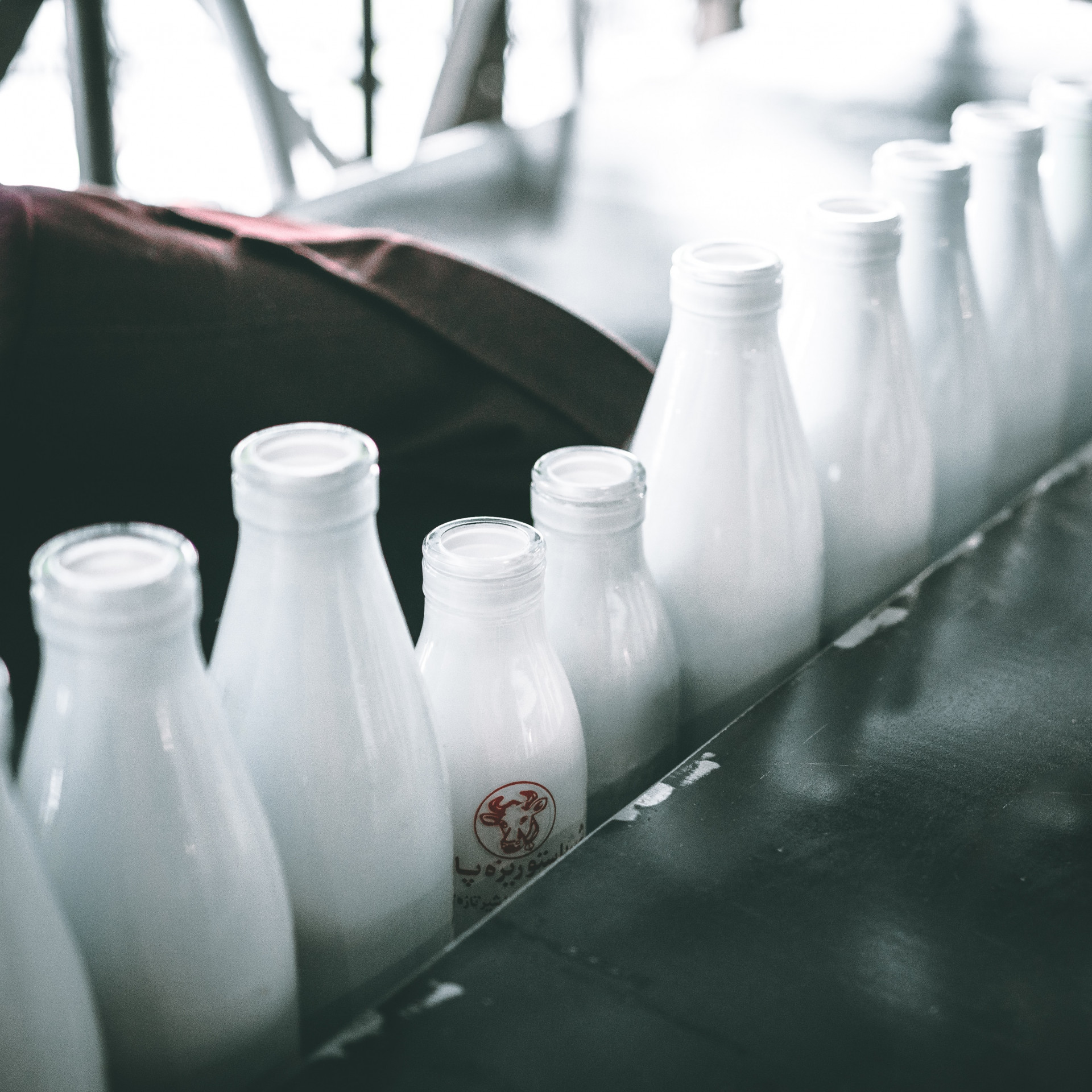 Ставропольцам рассказали, как правильно хранить молоко