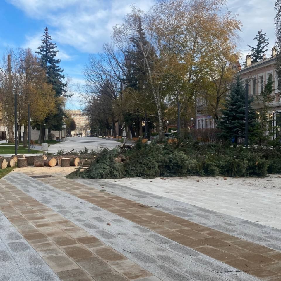 В центре Ставрополя упала большая ель | 27.11.2023 | Ставрополь - БезФормата