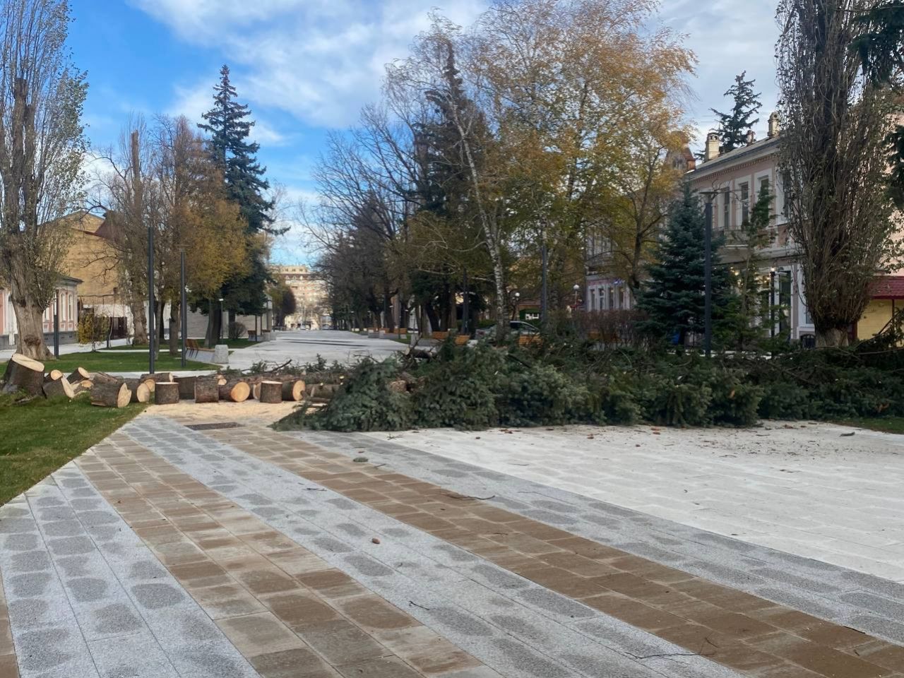 В центре Ставрополя упала большая ель | 27.11.2023 | Ставрополь - БезФормата