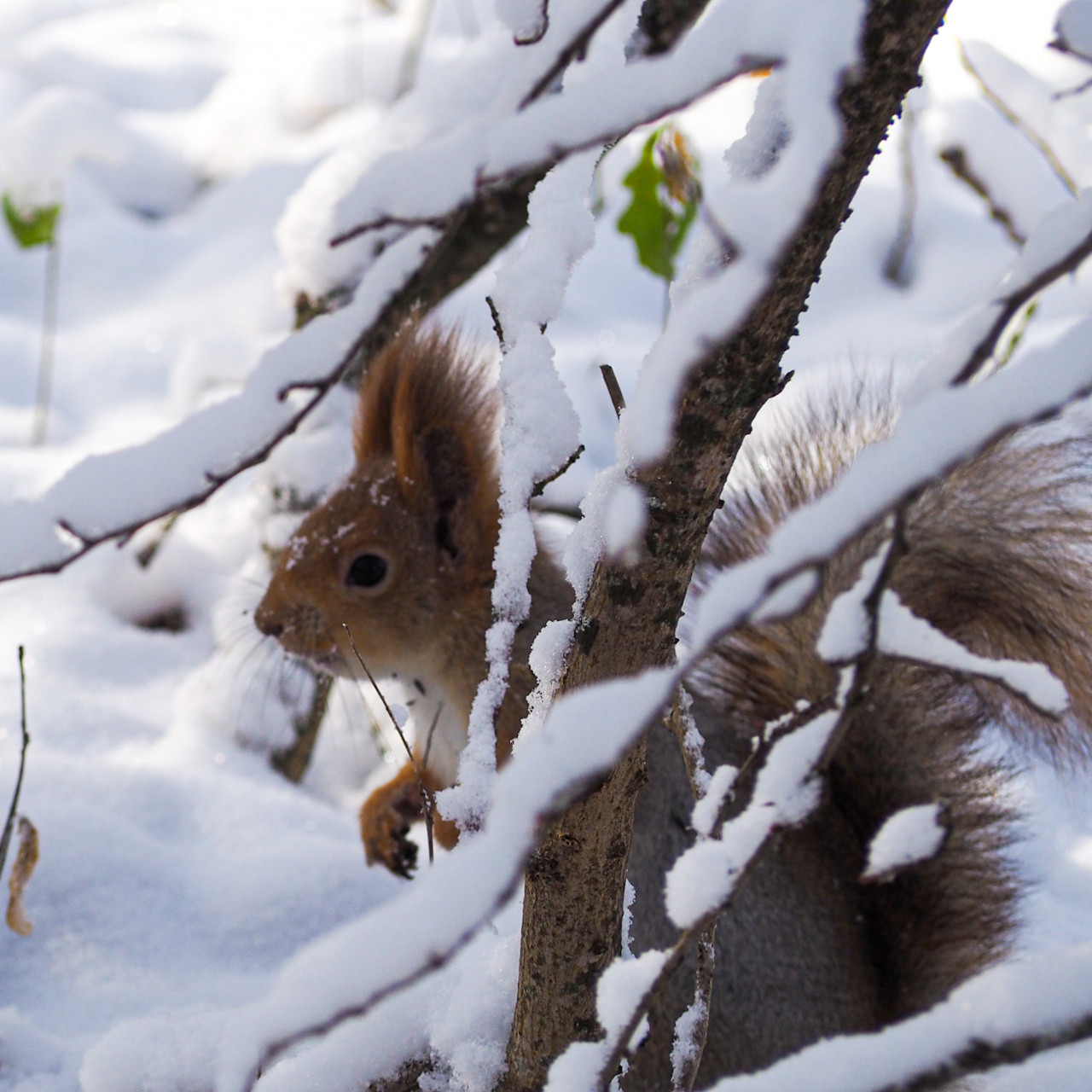 Афиша на выходные 13 и 14 января 2024 года в Ставрополе и Ставропольском крае