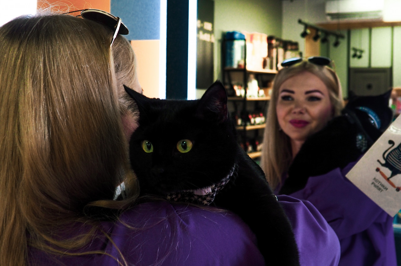 Куда пойти на выходных в Ставрополе и Ставропольском крае 24 и 25 февраля 2024 года?