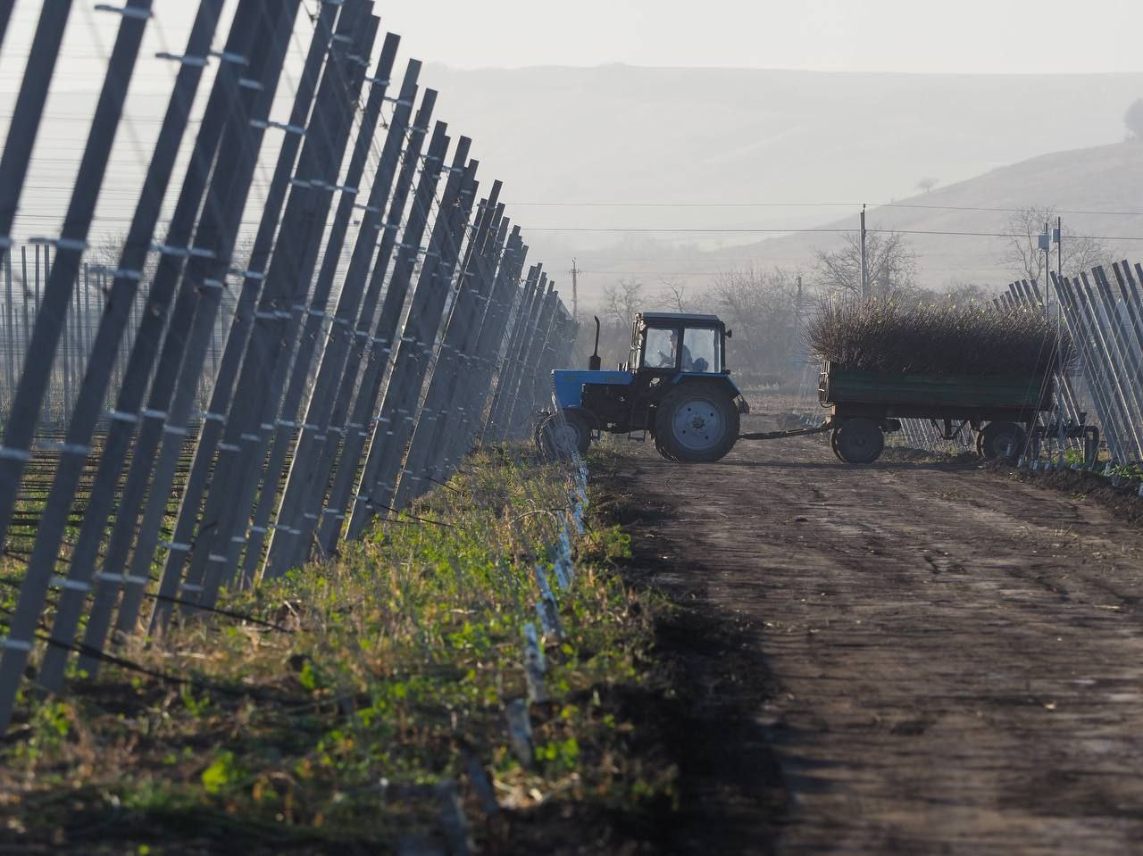 До 4, 4 млн рублей на развитие проекта могут получить ставропольские фермеры