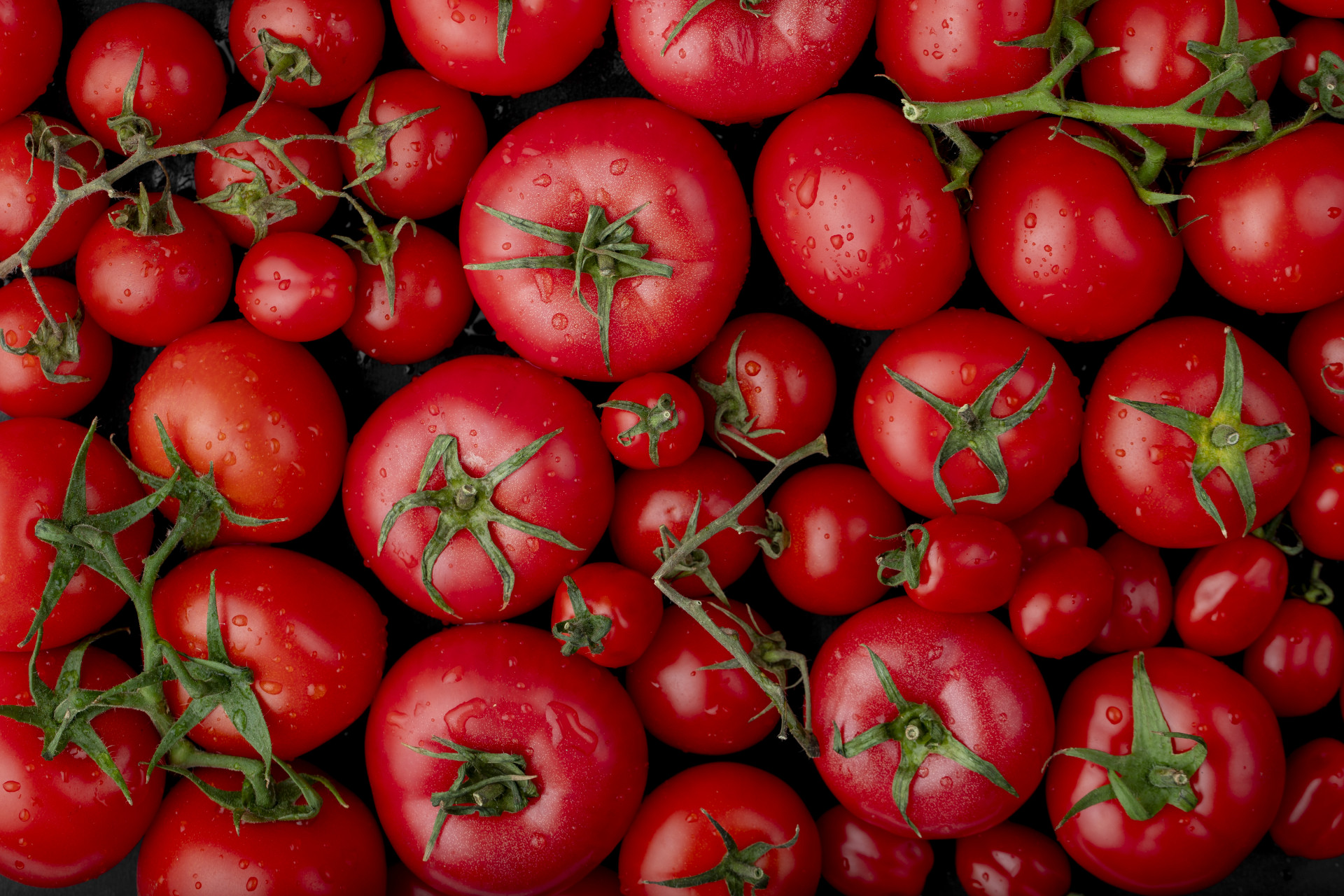 Фестиваль томатов впервые проведут на Ставрополье в 2024 году