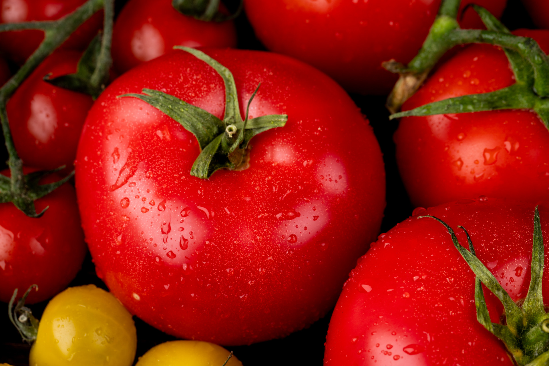 Из Грузии в Ставропольский край с начала года ввезли свыше 300 тонн томатов
