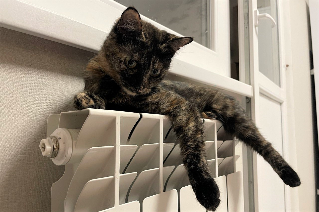 Отопительный сезон в Ставропольском крае в 2024 году