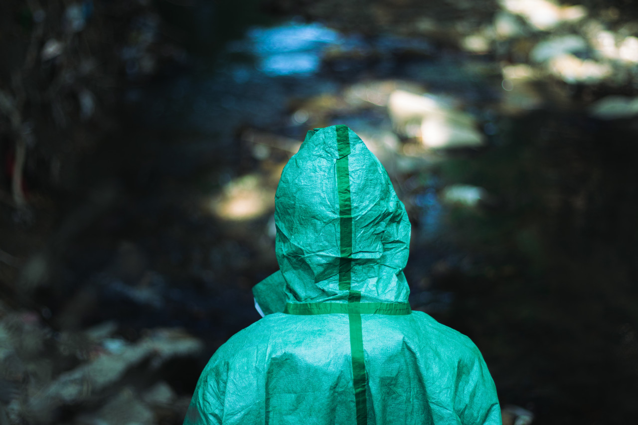 «Зеленые люди»: какие экологические сообщества есть в Ставрополе?