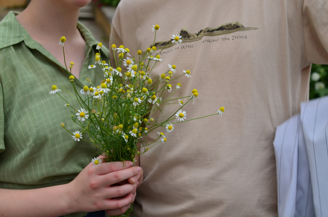 Гороскоп для Тельцов на апрель 2025 года