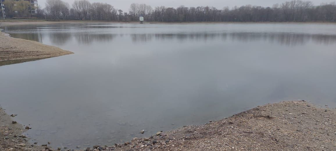 Глава Ессентуков опроверг информацию о гибели рыбы на озере города