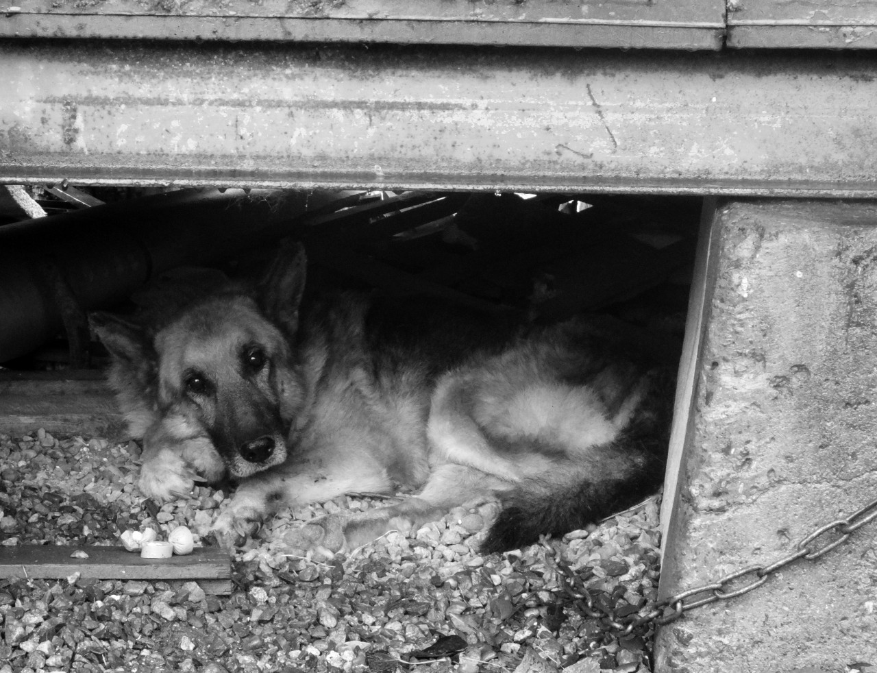 Обзор происшествий в Ставропольском крае на 11.08.2025 г.