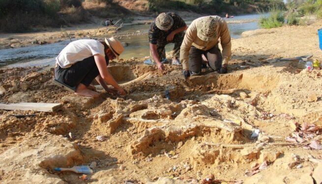 Останки шерстистого мамонта нашли в Абинске Краснодарского края Останки шерстистого мамонта нашли в Абинске Краснодарского края