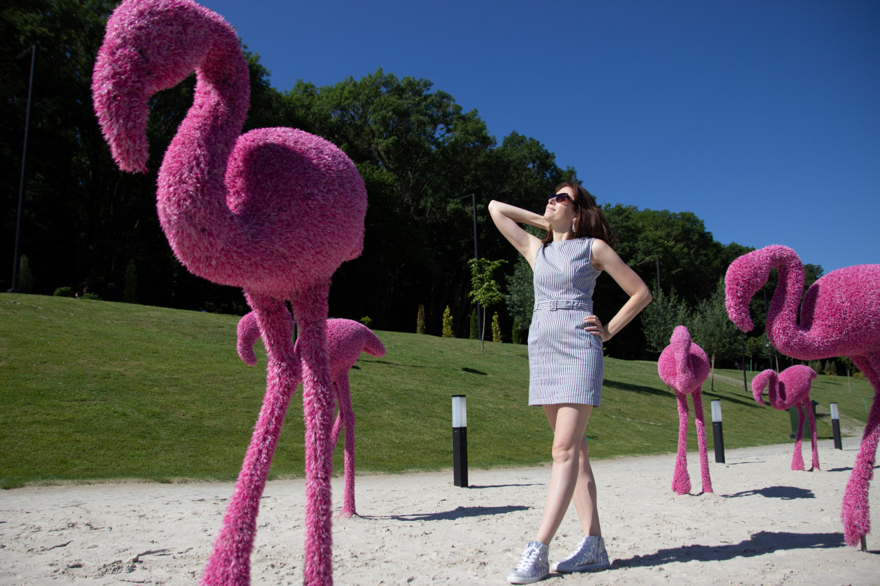 Жара до +37 и без осадков: какая погода будет на Ставрополье в конце недели