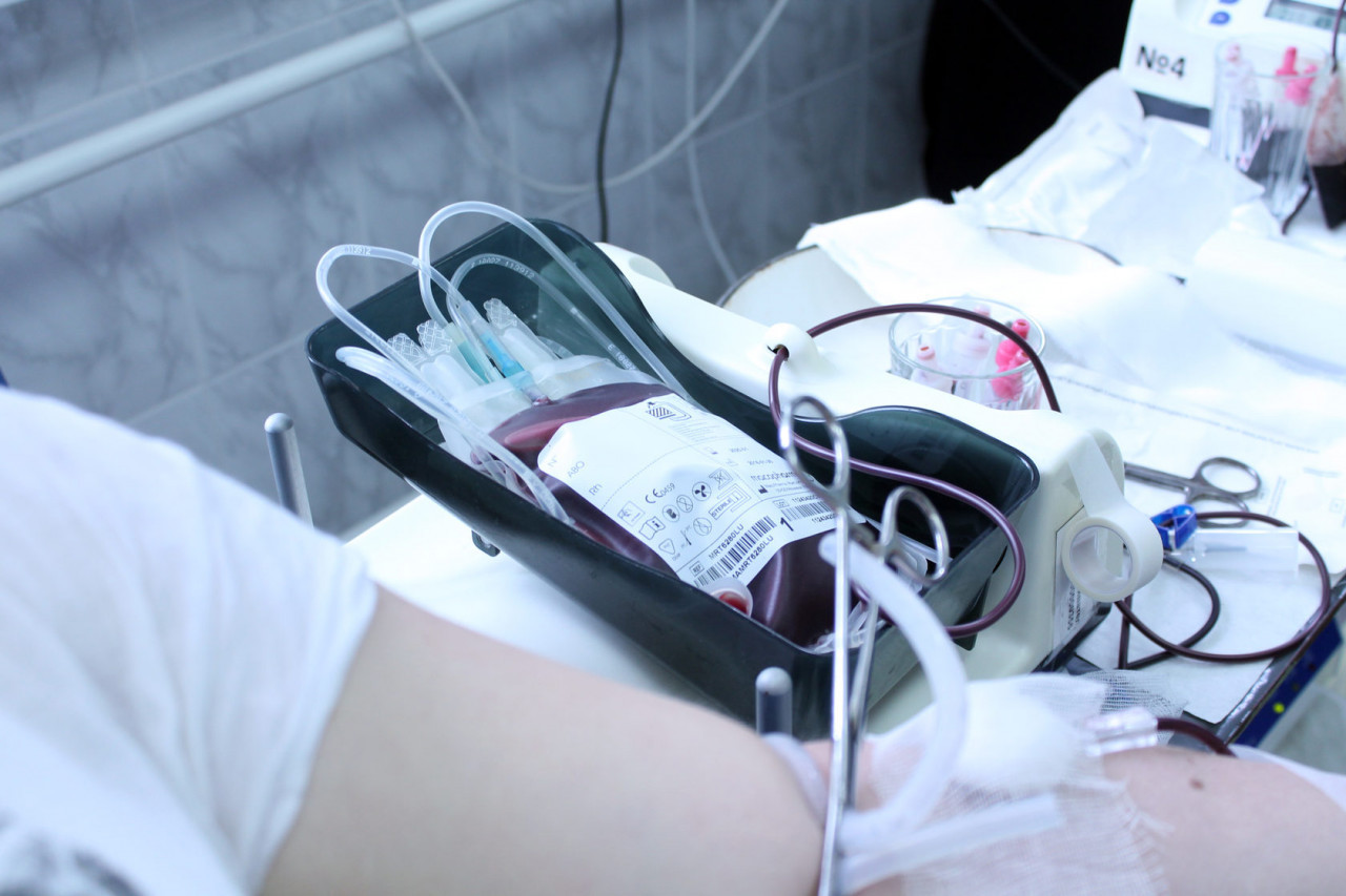 Жители Новоселицкого округа могут стать донорами крови