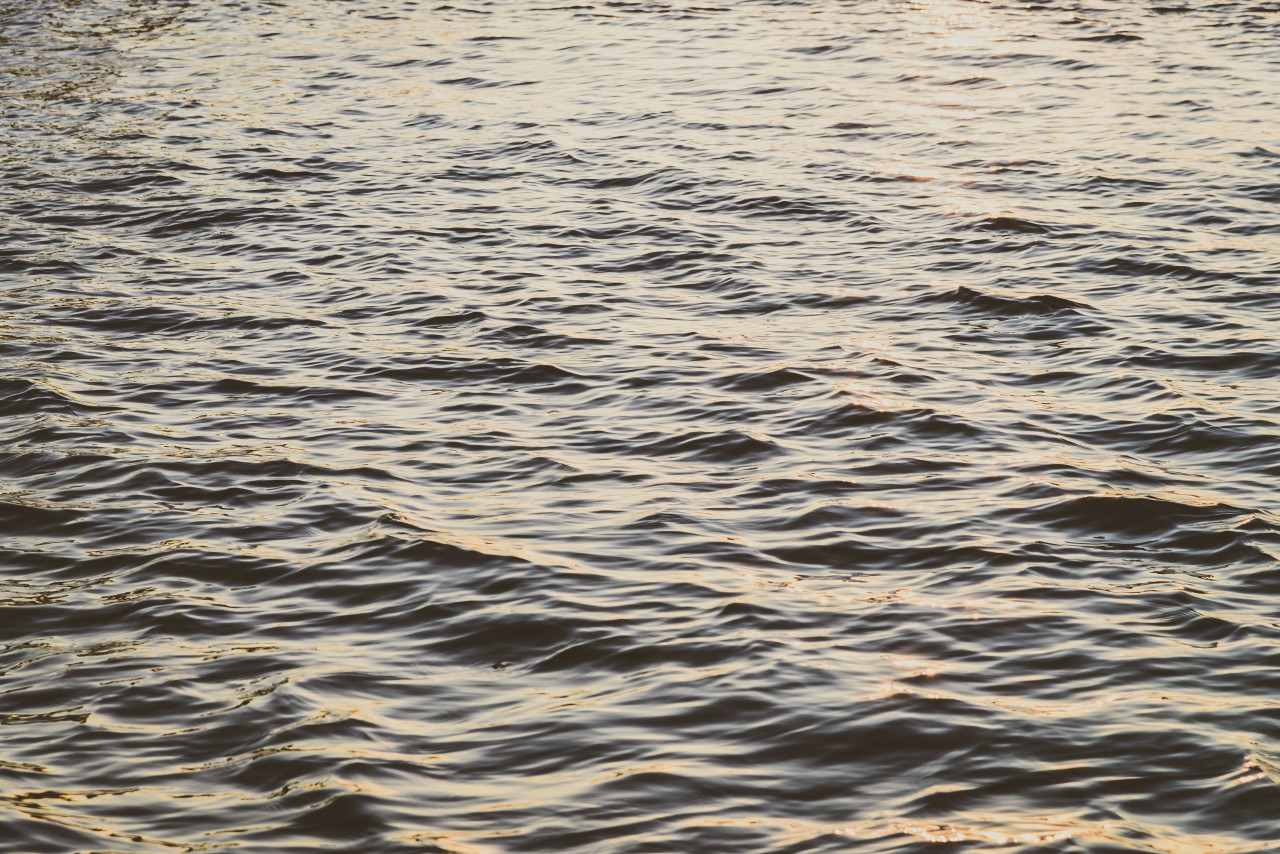 Отходы жильцов ХК в Ростове четыре года сбрасывали в Дон