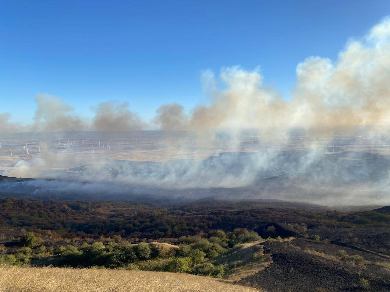 23 природных пожара потушили на Ставрополье 15 сентября 23 природных пожара потушили на Ставрополье 15 сентября