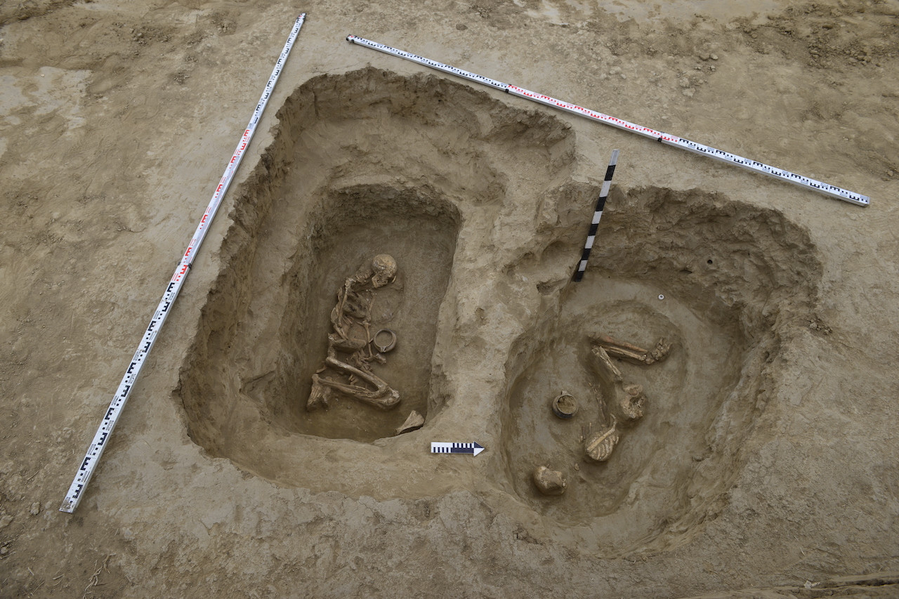 Древнее святилище и повозка возрастом 4500 лет: археологи МГУ подвели итоги раскопок на Ставрополье