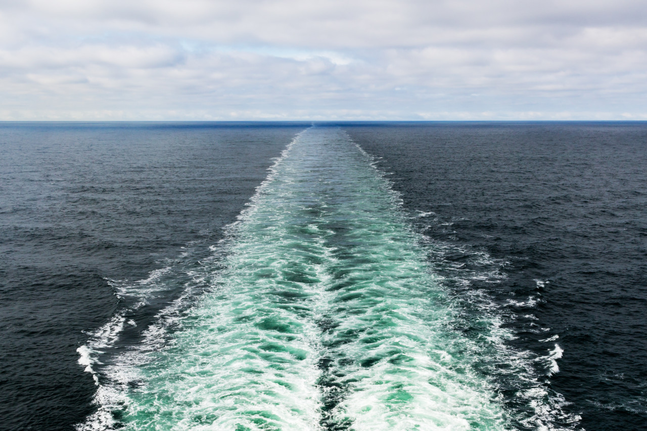 Стала известна стартовая цена билетов на паром Сочи – Трабзон Стала известна стартовая цена билетов на паром Сочи – Трабзон