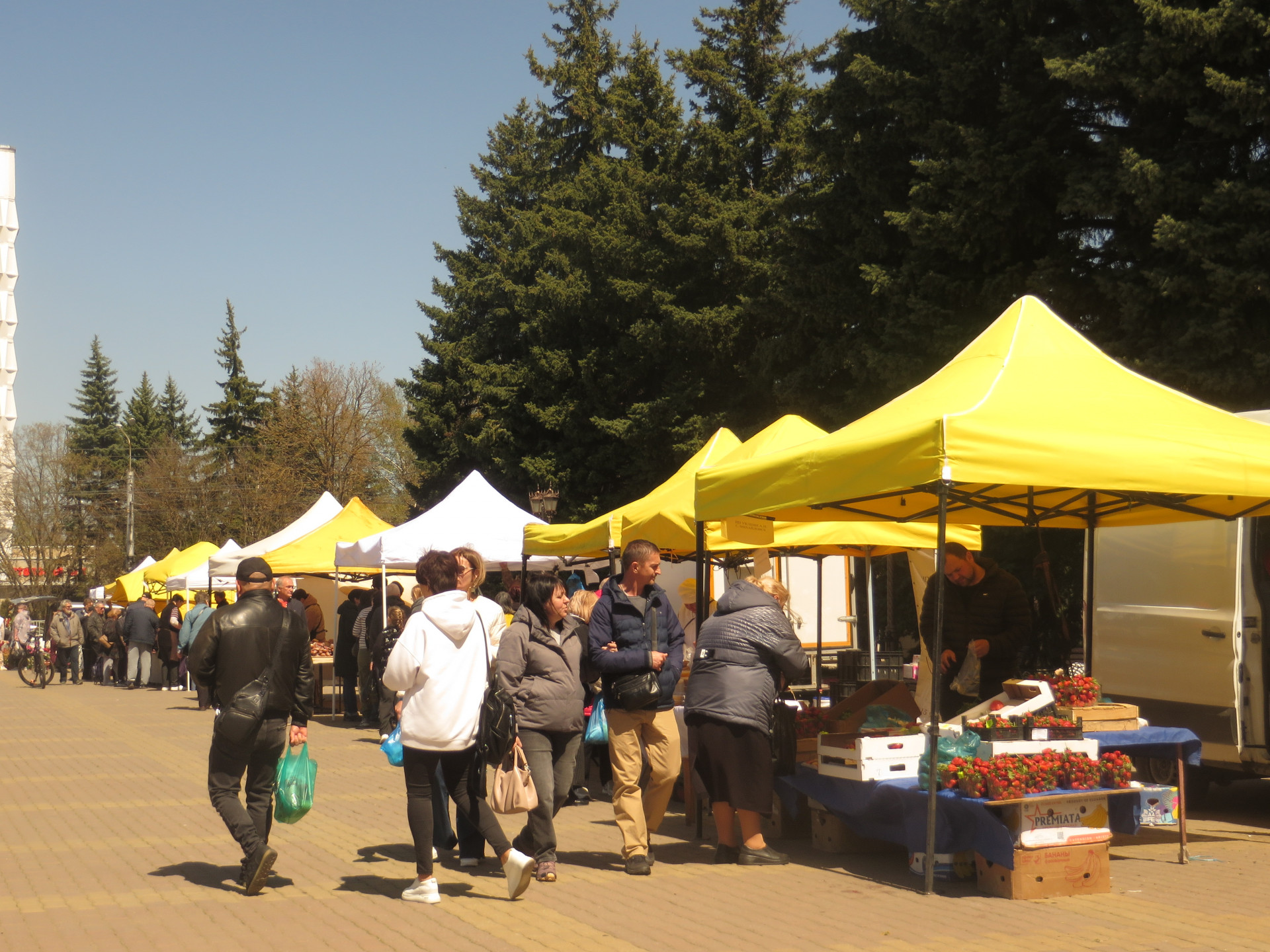 Ярмарки «Покупай ставропольское!» пройдут в Ставрополе в начале ноября Ярмарки «Покупай ставропольское!» пройдут в Ставрополе в начале ноября