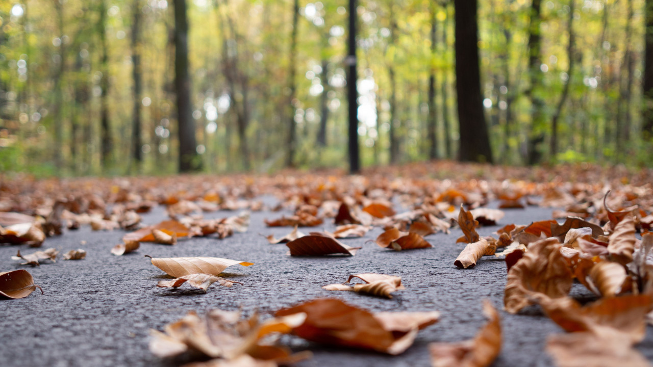 Туманно-дождливые выходные ожидают жителей Ставрополья Туманно-дождливые выходные ожидают жителей Ставрополья
