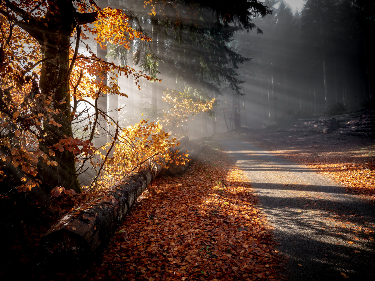 Какая погода будет на Ставрополье после ноябрьских выходных? Какая погода будет на Ставрополье после ноябрьских выходных?