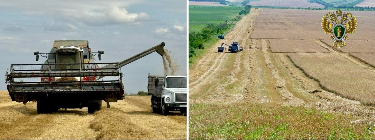 Директор интерната уволен за миллионные хищения на Ставрополье Директор интерната уволен за миллионные хищения на Ставрополье