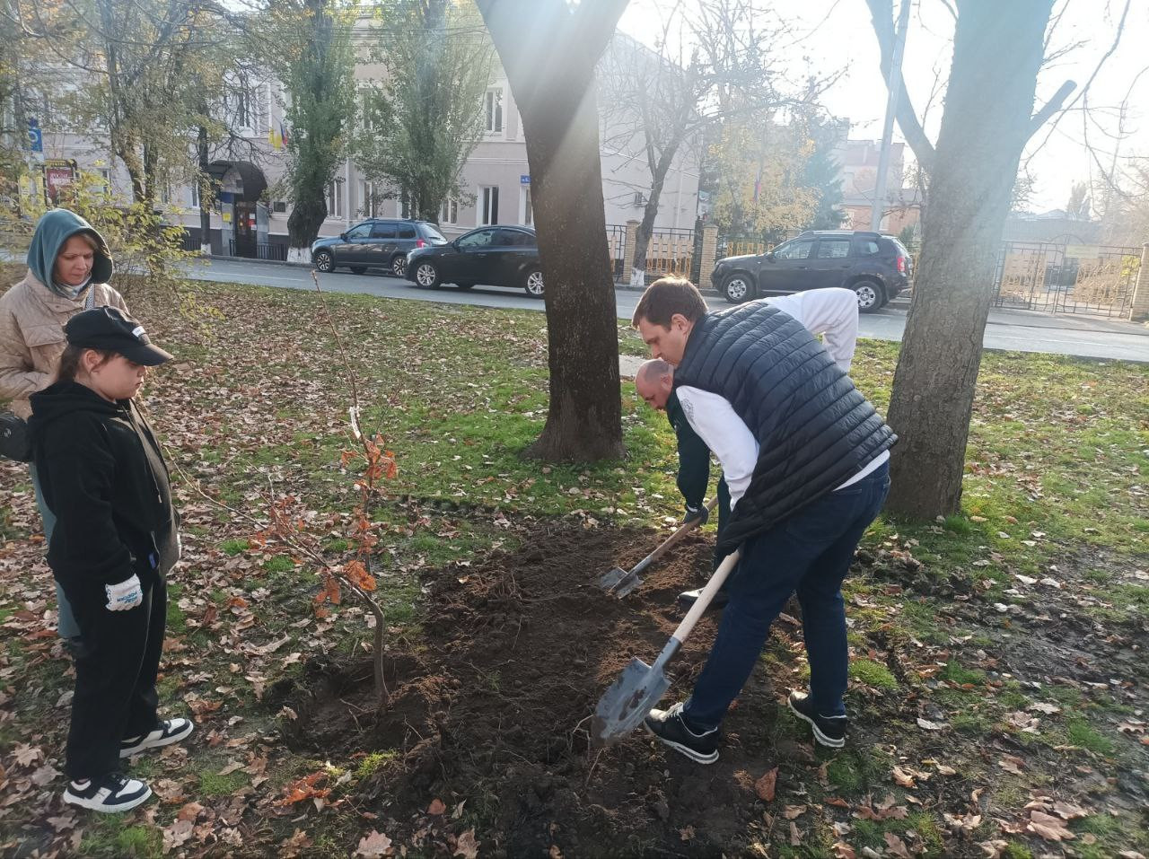 Еще 200 деревьев высадили в Ставрополе Еще 200 деревьев высадили в Ставрополе