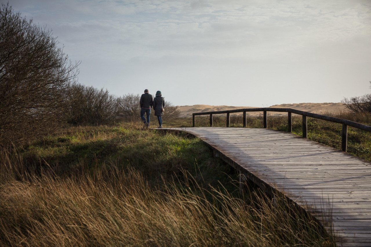Новая туристическая тропа откроется под Новороссийском