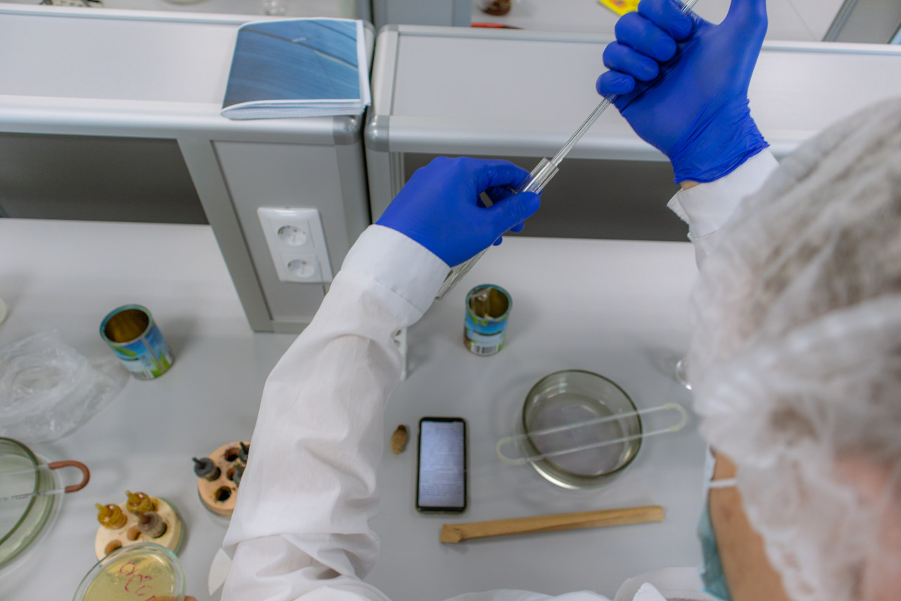 Ставрополье создаст собственный центр производства радиофармпрепаратов для онкодиагностики